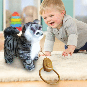 Musical Walking Cat Plush Toy With Remote